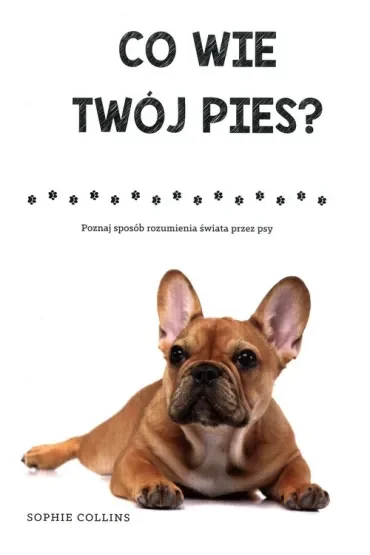 Co wie Twój pies?