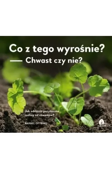 Co z tego wyrośnie? - Chwast czy nie?