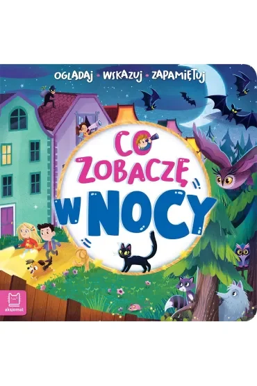 CO ZOBACZĘ W NOCY. OGLĄDAJ, WSKAZUJ, ZAPAMIĘTUJ
