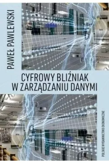Cyfrowy bliźniak w zarządzaniu danymi