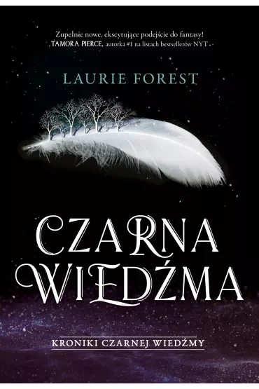 Czarna Wiedźma. Kroniki Czarnej Wiedźmy. Tom 1