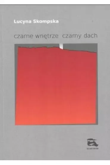 czarne wnętrze czarny dach