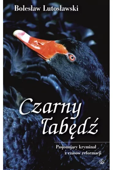 Czarny łabędź
