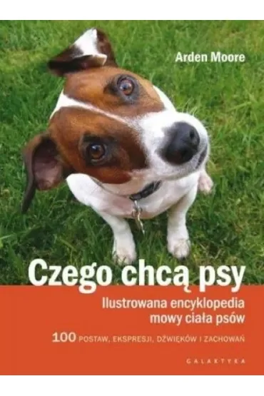 Czego chcą psy