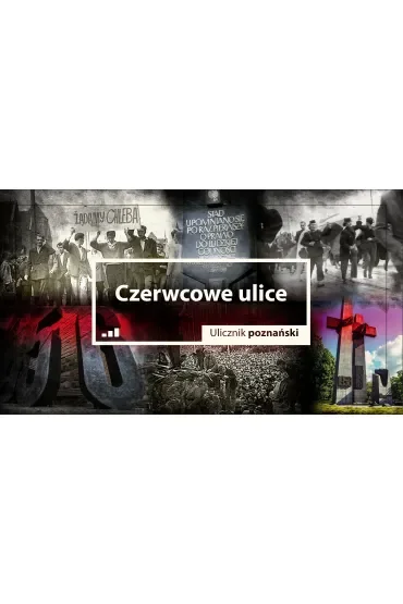Czerwcowe ulice. Ulicznik poznański