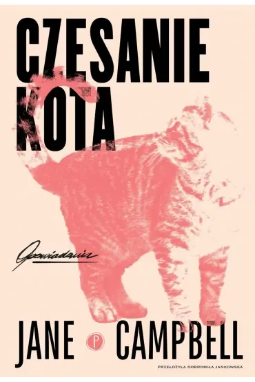 Czesanie kota
