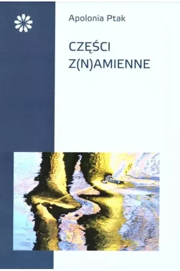 Części z(n)amienne