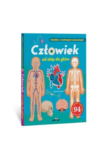 Człowiek od stóp do głów. Książka z ruchomymi elementami