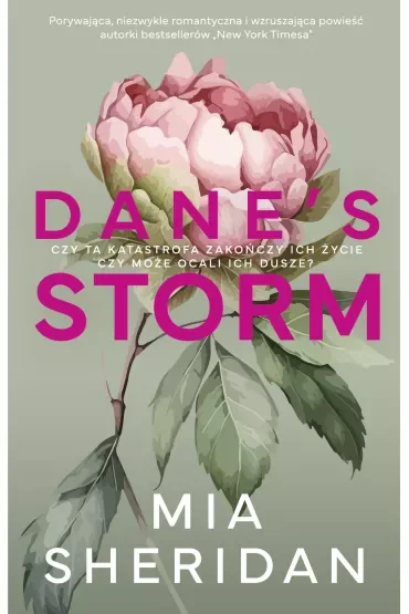 Dane's Storm