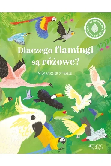 Dlaczego flamingi są różowe? Wiem wszystko o ptakach. Akademia małego przyrodnika