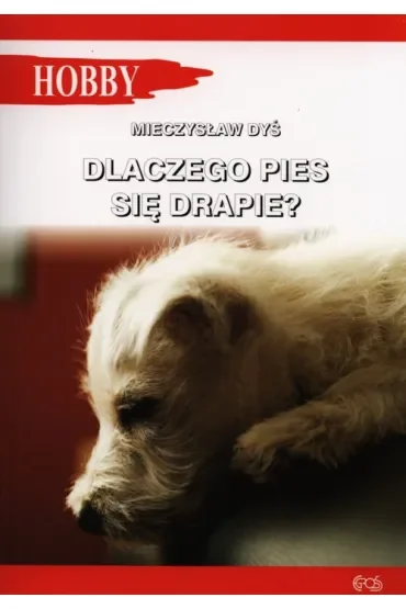 Dlaczego pies się drapie?