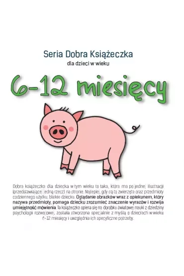 Dobra Książeczka dla dzieci w wieku 6-12 miesięcy