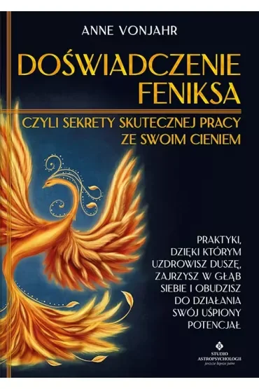 Doświadczenie Feniksa, czyli sekrety skutecznej pracy ze swoim cieniem