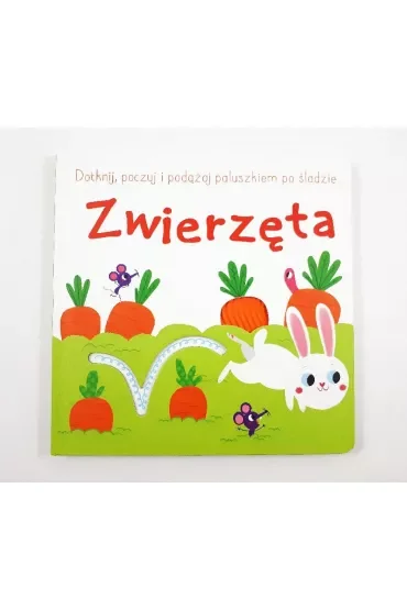 Dotknij, poczuj i podążaj po śladzie. Zwierzęta