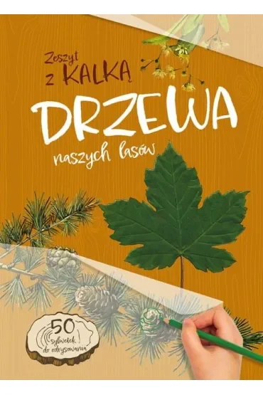 Drzewa naszych Lasów