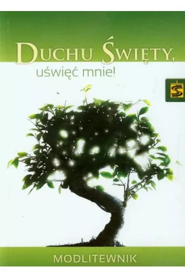 Duchu Święty uświęć mnie! Modlitewnik