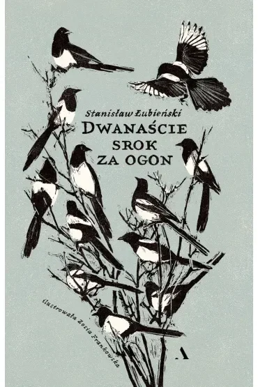 Dwanaście srok za ogon