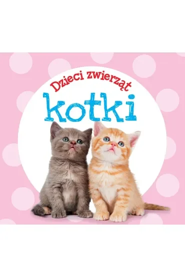 Dzieci zwierząt - kotki