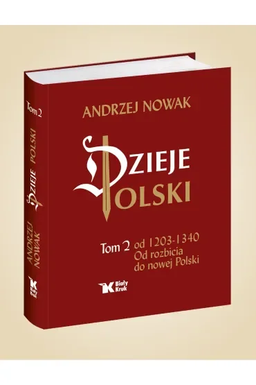 Dzieje Polski. Tom 2. Od rozbicia do nowej Polski
