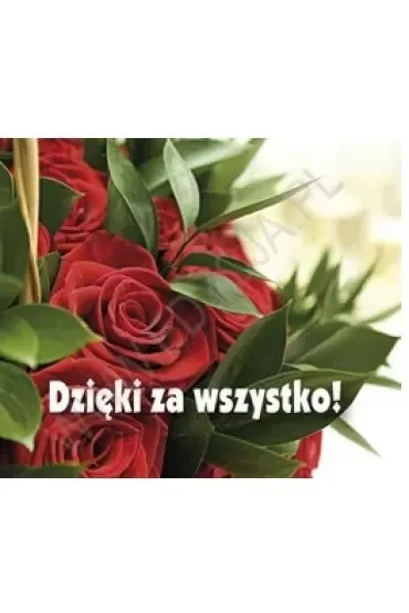 Dzięki za wszystko! Perełka 191