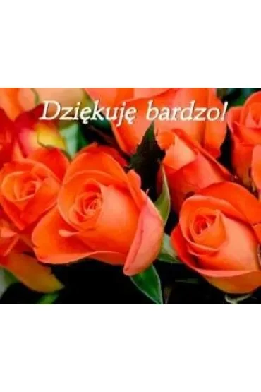 Dziekuję bardzo. Perełka