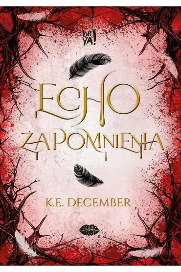 Echo zapomnienia