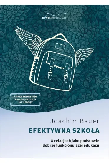 Efektywna szkoła. O relacjach jako podstawie dobrze funkjonojącej edukacji