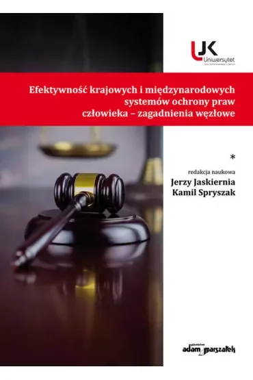 Efektywność krajowych i międzynarodowych systemów ochrony praw człowieka - zagadnienia węzłowe