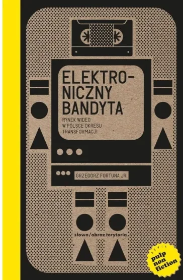 Elektroniczny bandyta. Rynek wideo w Polsce okresu transformacji