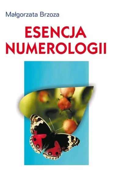 Esencja numerologii