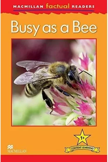 Factual: Busy as a Bee 1+
