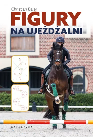 Figury na ujeżdżalni