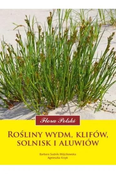 Flora Polski. Rośliny wydm, klifów, solnisk