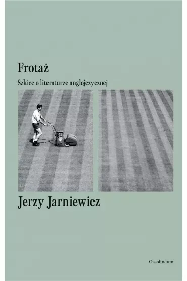 Frotaż. Szkice o literaturze anglojęzycznej