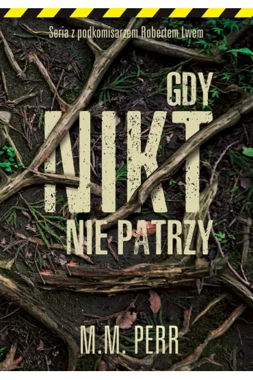 Gdy nikt nie patrzy. Podkomisarz Robert Lew. Tom 2