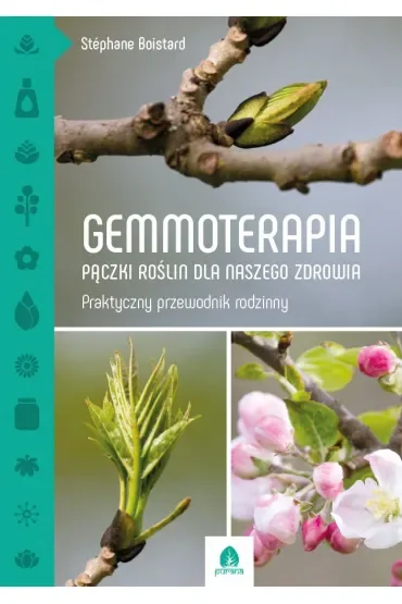 Gemmoterapia. Pączki roślin dla naszego zdrowia