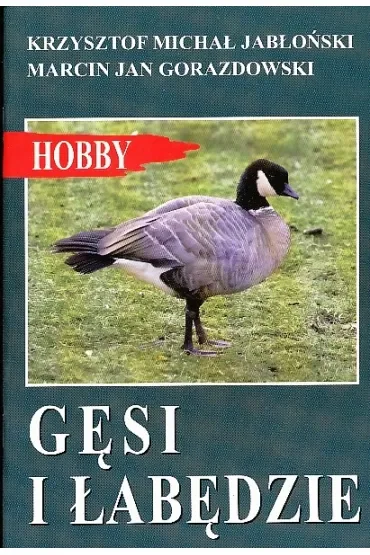 Mój króliczek miniaturowy