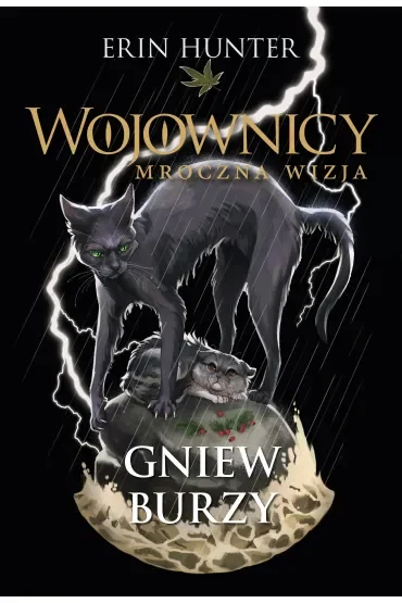 Gniew burzy. Cykl Wojownicy. Mroczna wizja. Tom 6