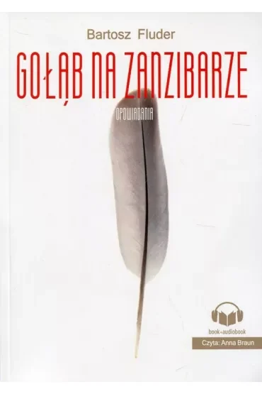 Gołąb na Zanzibarze +