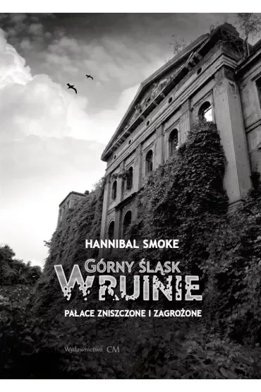Górny Śląsk w ruinie. Pałace zniszczone i zagrożone