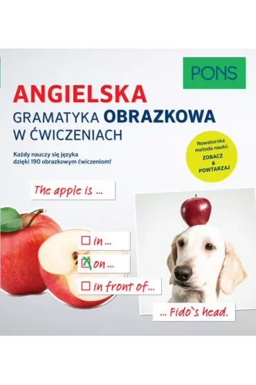 Angielska gramatyka obrazkowa w ćwiczeniach PONS