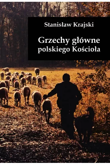 Grzechy główne polskiego Kościoła