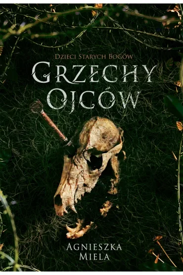 Grzechy ojców. Dzieci Starych Bogów. Tom 2