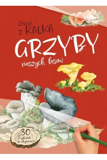Grzyby naszych lasów