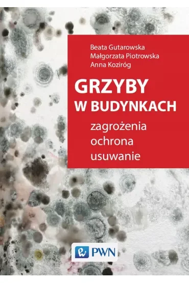 Grzyby w budynkach. Zagrożenia, ochrona, usuwanie.