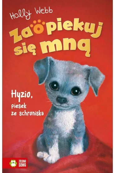 Hyzio, piesek ze schroniska. Zaopiekuj się mną