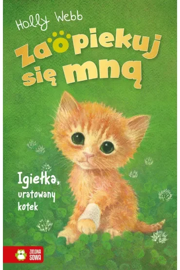Igiełka, uratowany kotek. Zaopiekuj się mną