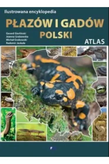 Ilustrowana encyklopedia płazów i gadów Polski. Atlas