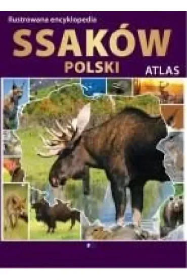 Ilustrowana encyklopedia ssaków polski