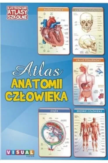 Ilustrowany atlas szkolny. Atlas anatomii człowieka